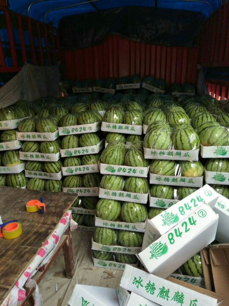各种品种西瓜大量上市