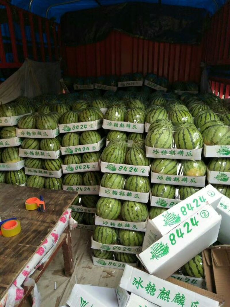 各种品种西瓜大量上市