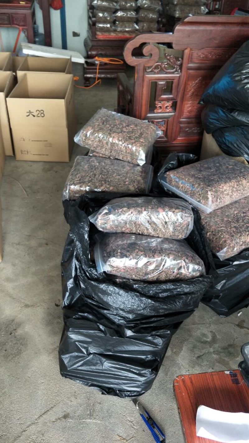 【闽之宝】金线莲干货红霞干品种植干货整株