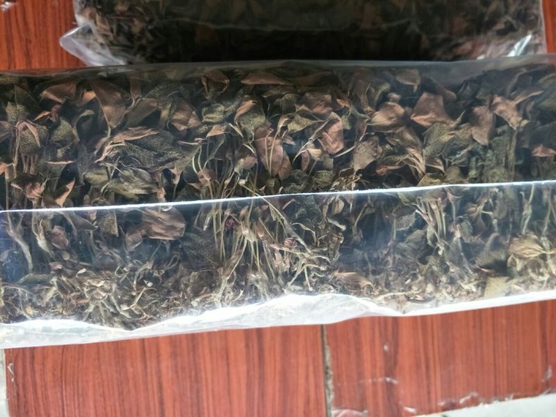 【闽之宝】金线莲干货红霞干品种植干货整株