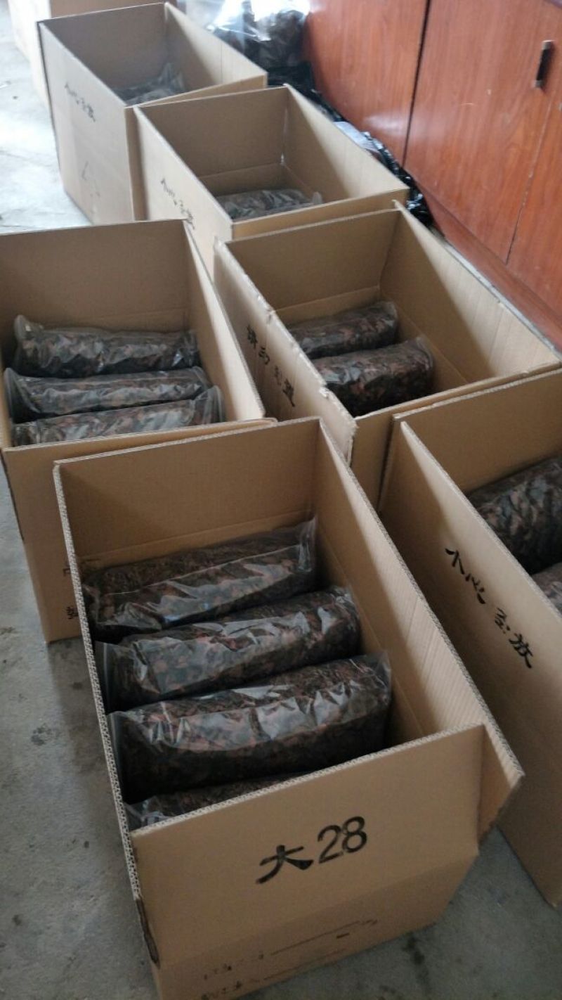 【闽之宝】金线莲干货红霞干品种植干货整株