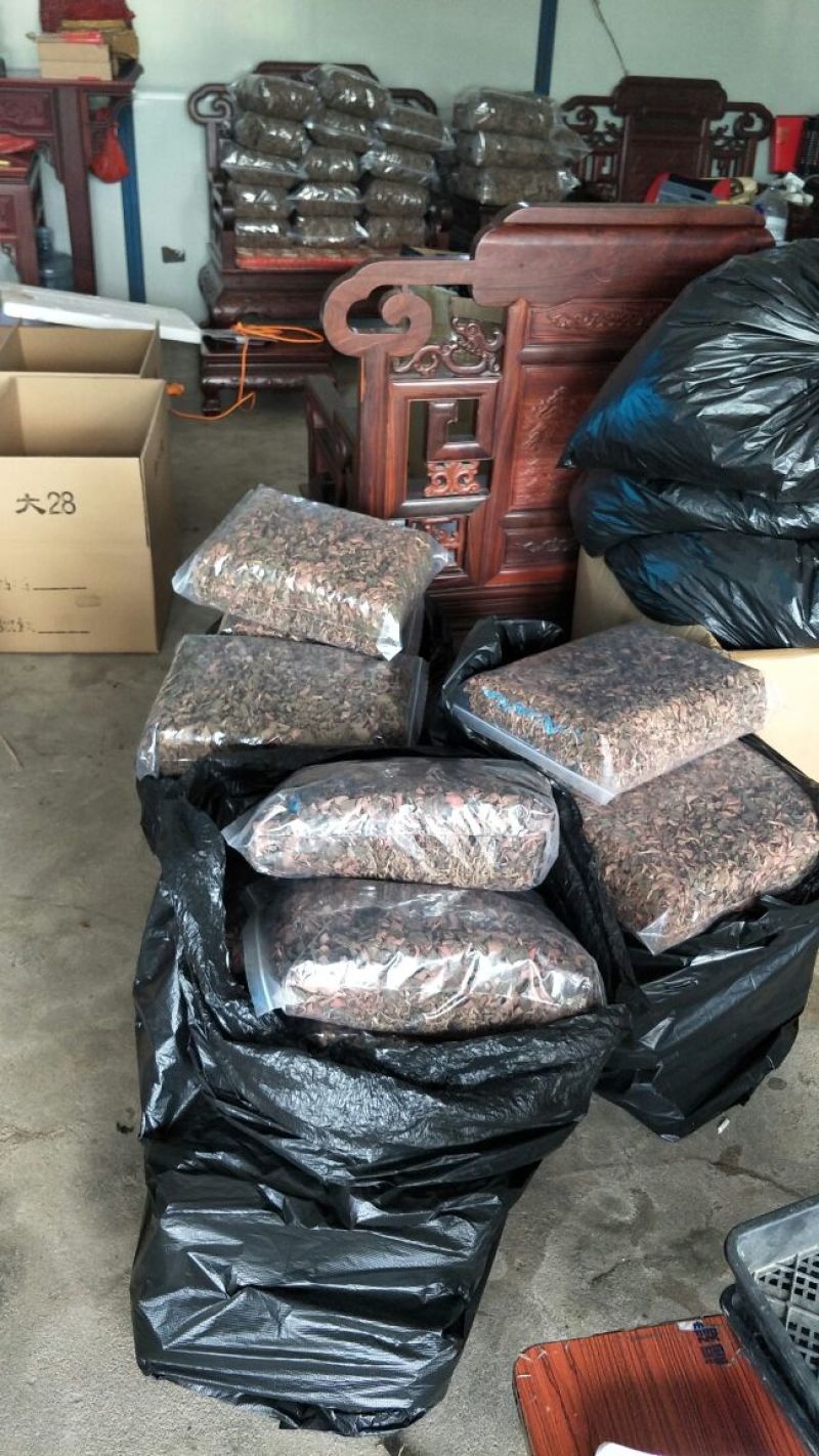 【闽之宝】金线莲干货红霞干品种植干货整株