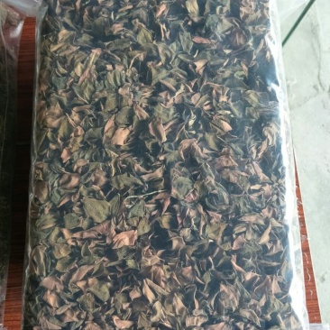 【闽之宝】金线莲干货红霞干品种植干货整株