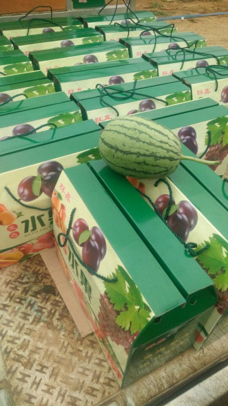精品吊瓜