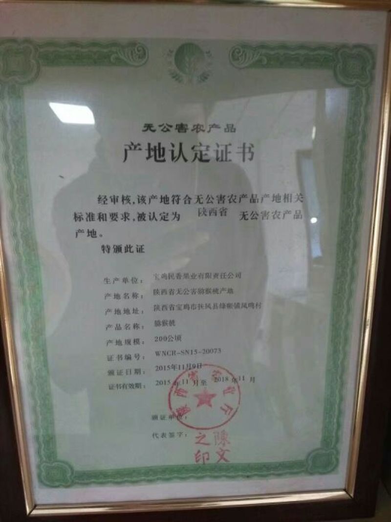 徐香（绿肉）年发现的新芽变原生态猕猴桃一件包邮