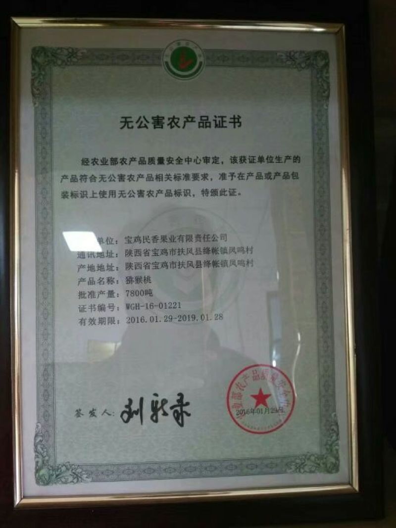 翠香（绿肉）原生态猕猴桃一件包邮