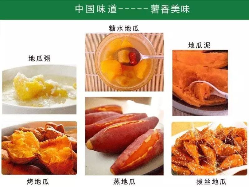 西瓜红红薯苗