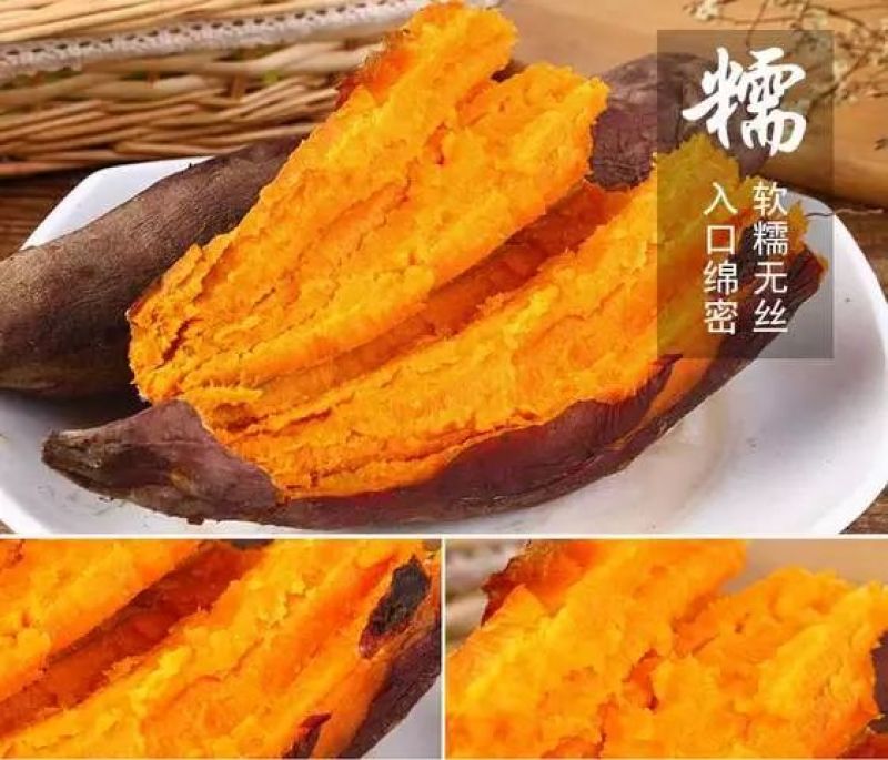 西瓜红红薯苗