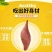 西瓜红红薯苗
