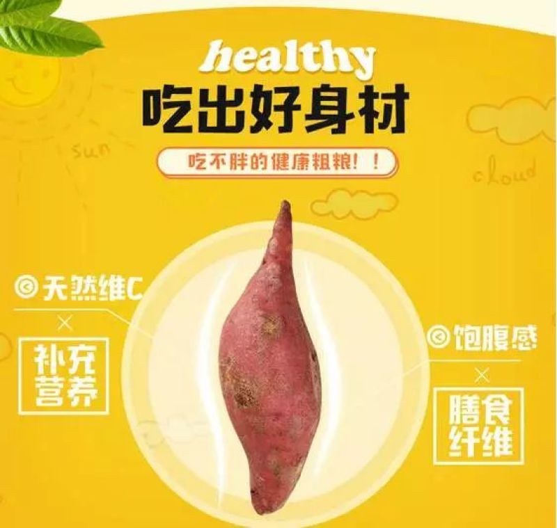 西瓜红红薯苗