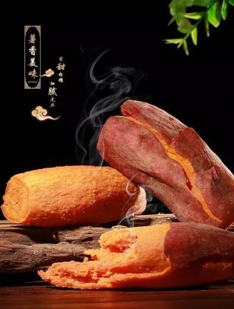 西瓜红红薯苗