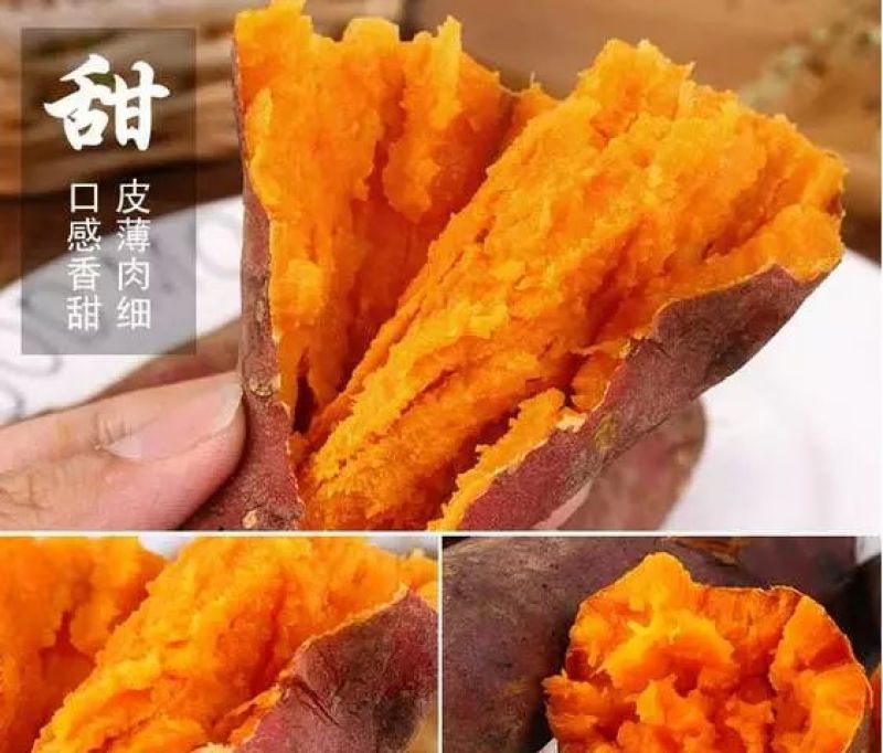 西瓜红红薯苗