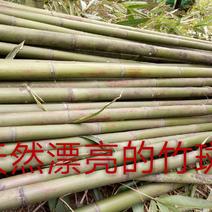 竹竿菜园搭架大小竹子