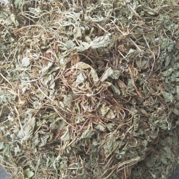 积雪草又叫雷公根