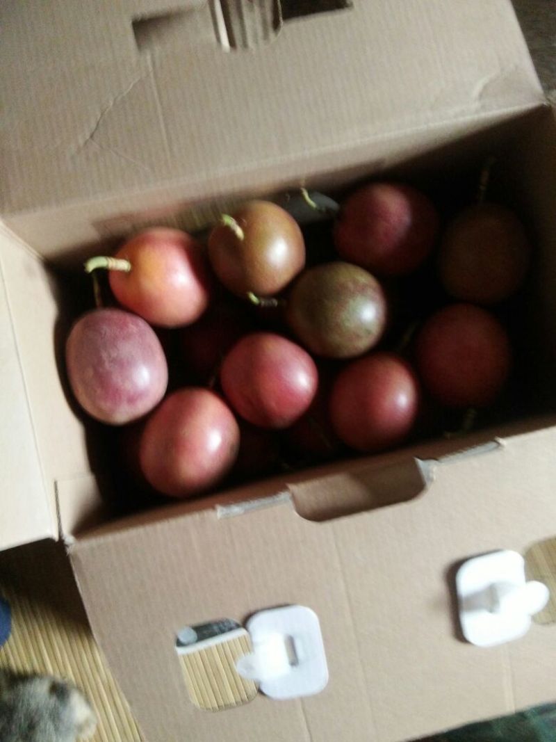 台农一号百香果，