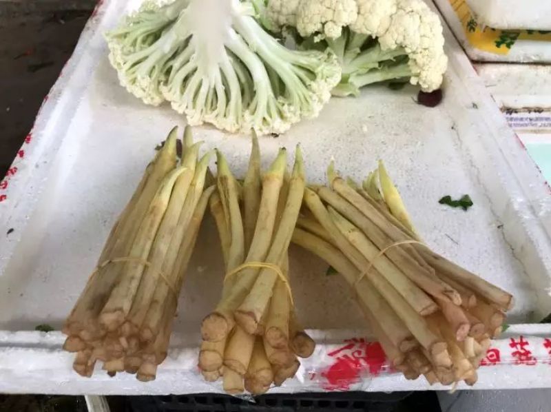 供应湘潭县梅林桥藕带莲带