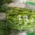 螺丝椒15~20厘米中辣青