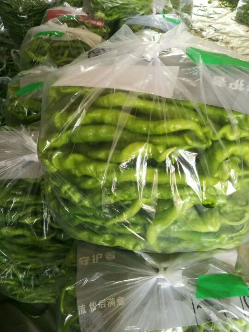 螺丝椒15~20厘米中辣青
