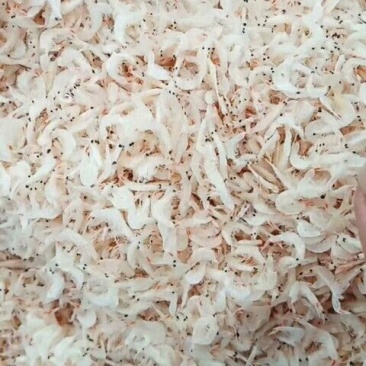 虾皮