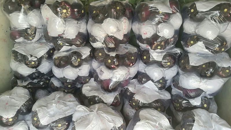暖棚快圆茄5两以上