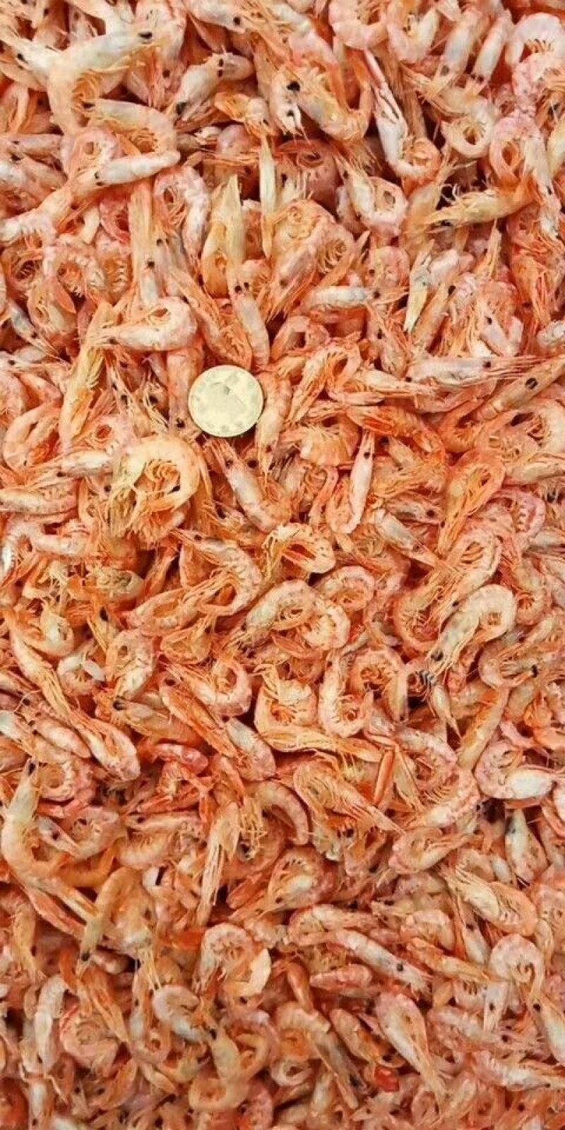 麟虾皮