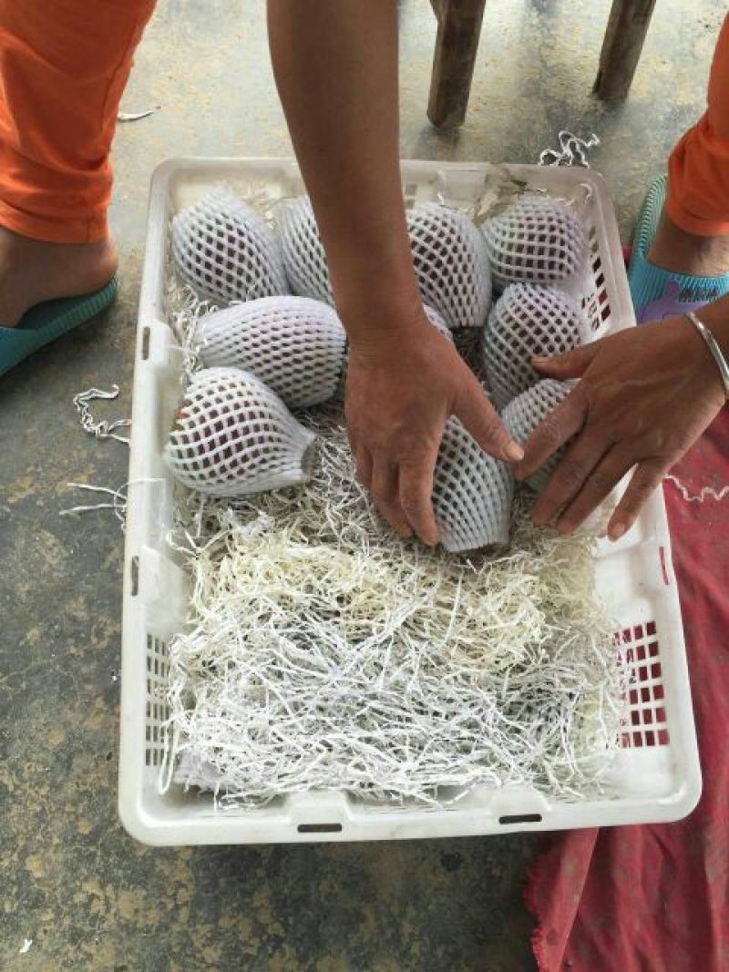 无花果丶