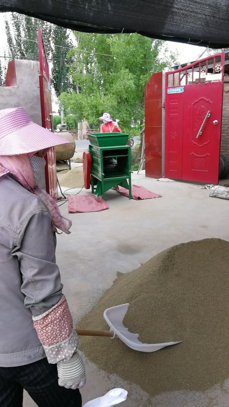 新疆孜然