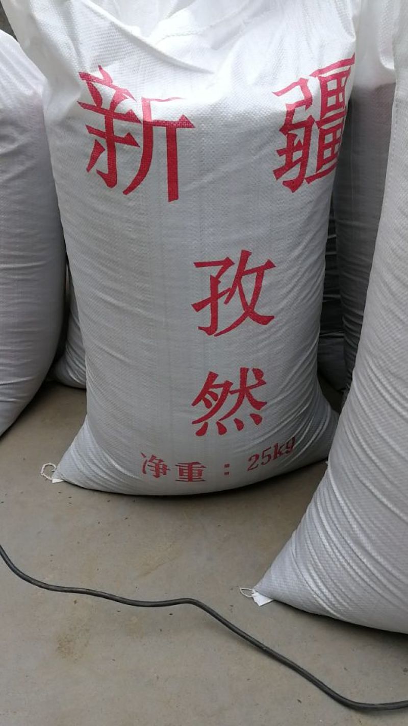新疆孜然