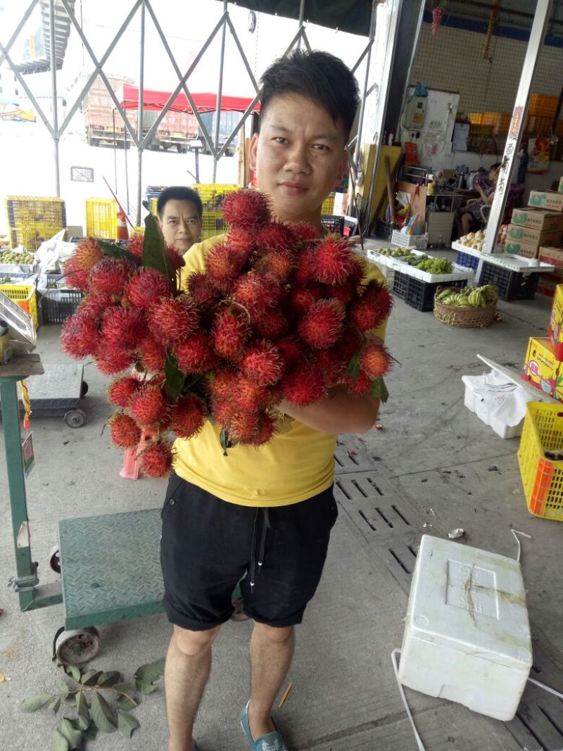 红毛丹