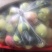 鹰嘴蜜桃75mm以上