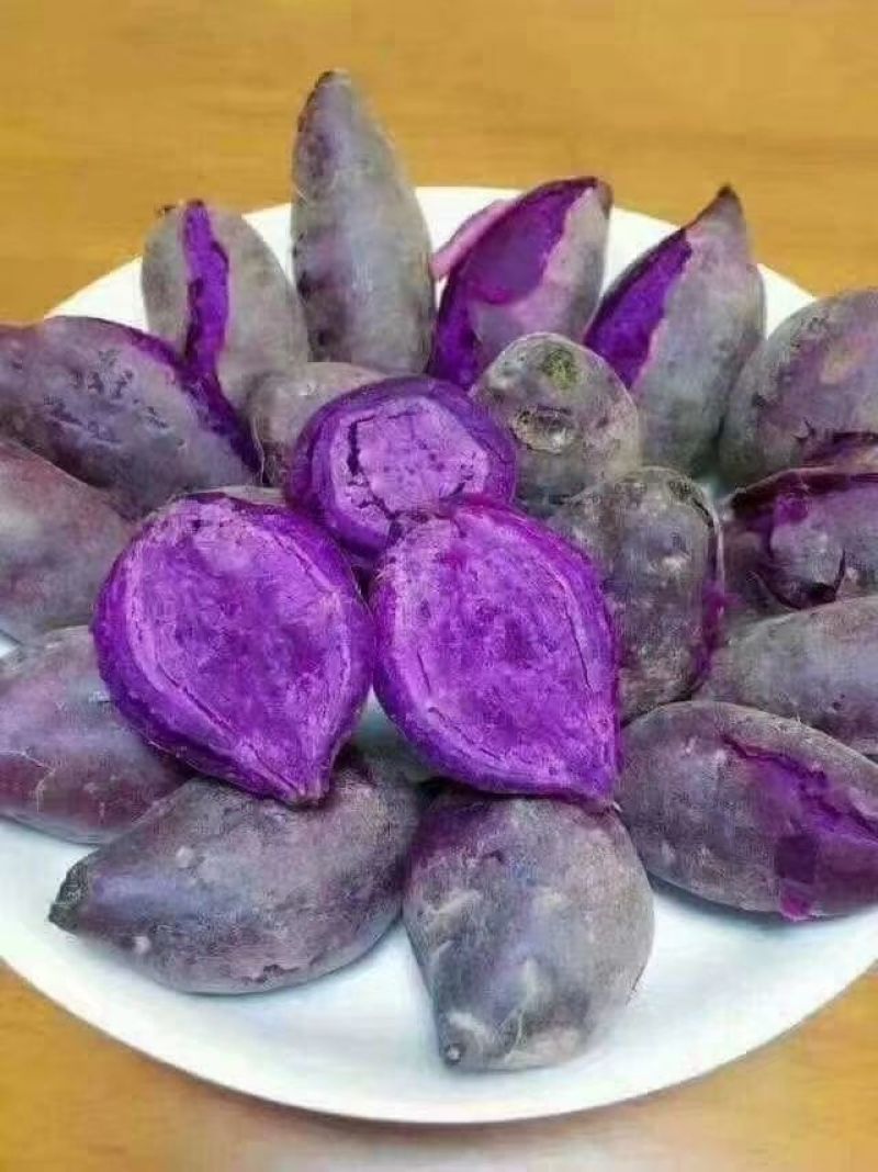 紫色红著