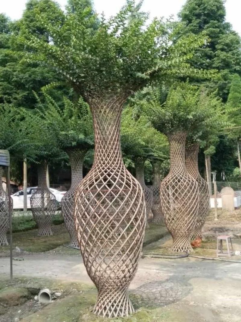 紫薇花瓶