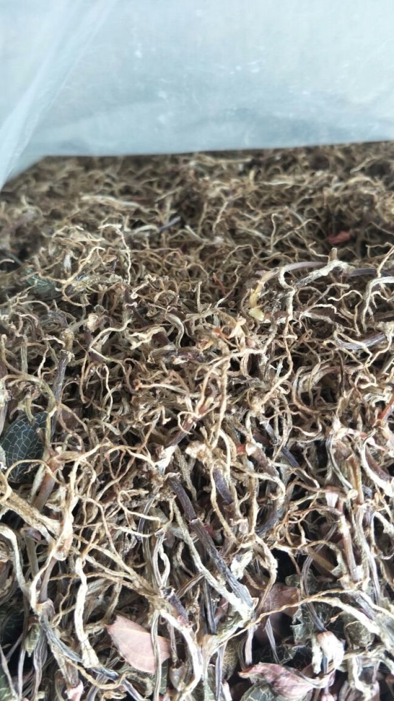 【闽之宝】金线莲干品本地红霞种植干品干货整株干品