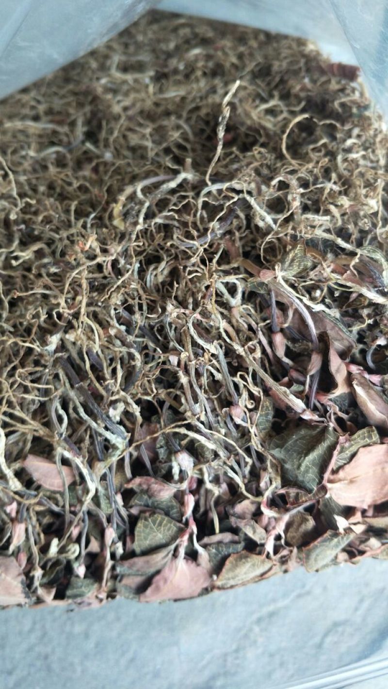 【闽之宝】金线莲干品本地红霞种植干品干货整株干品