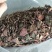 【闽之宝】金线莲干品本地红霞种植干品干货整株干品