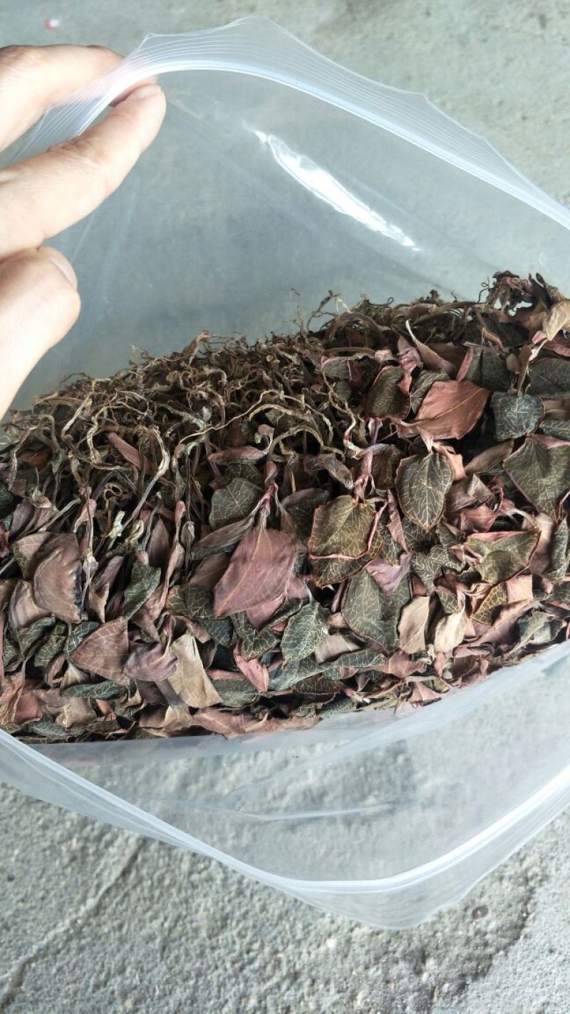 【闽之宝】金线莲干品本地红霞种植干品干货整株干品