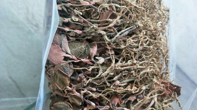 【闽之宝】金线莲干品本地红霞种植干品干货整株干品