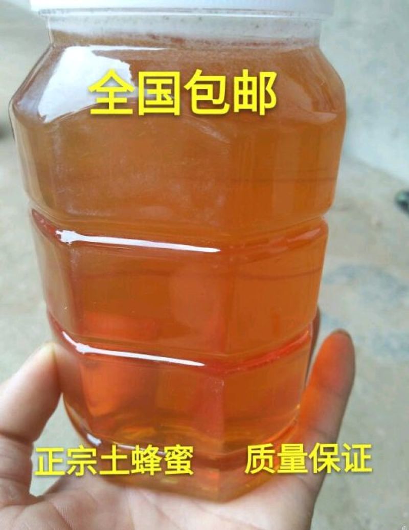 百花蜜油菜花蜜土蜂蜜包邮农家自家养殖销售