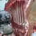 驴肉