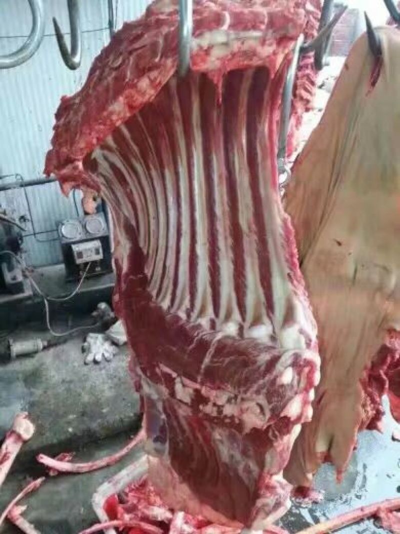 驴肉