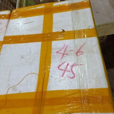 小龙虾4到6钱硬规格