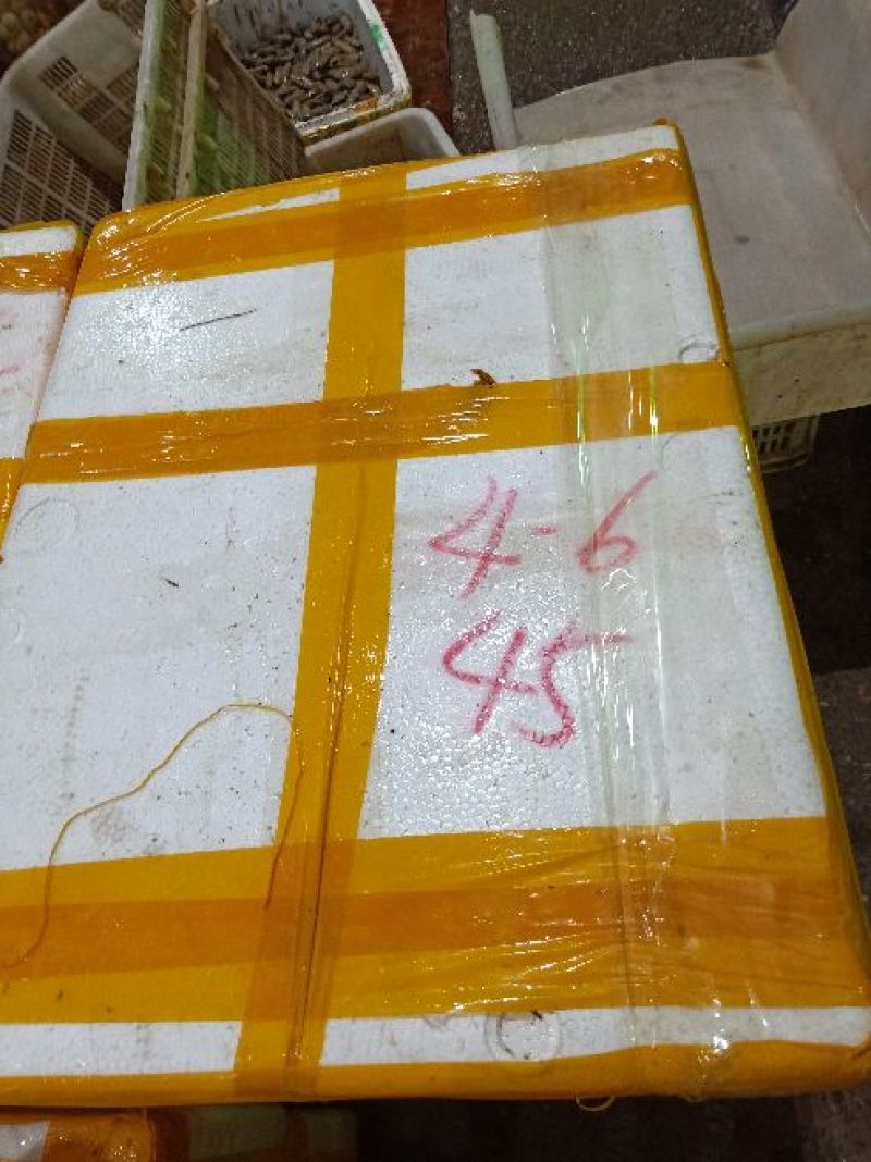 小龙虾4到6钱硬规格