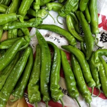 泡椒