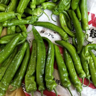 泡椒