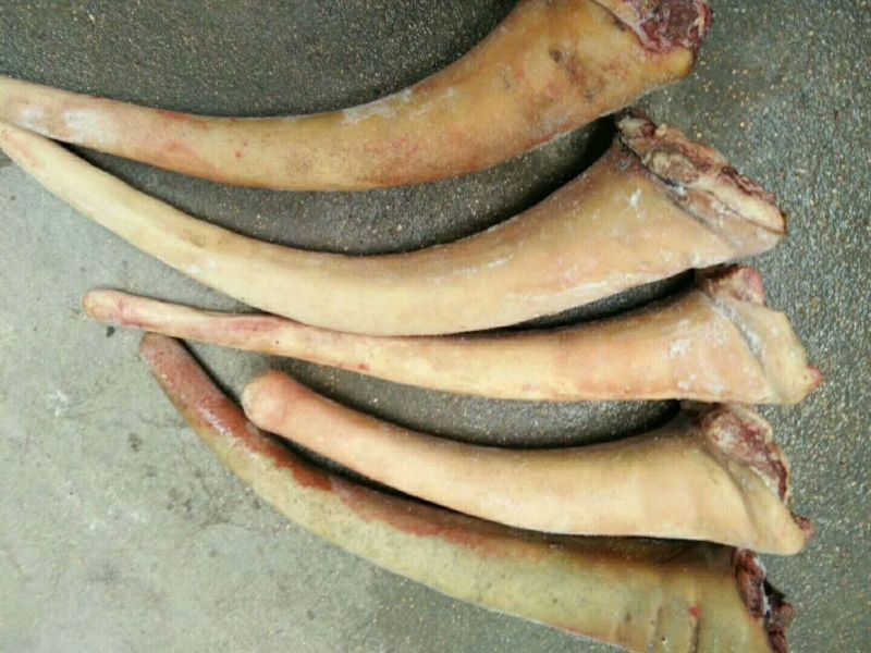 驴肉