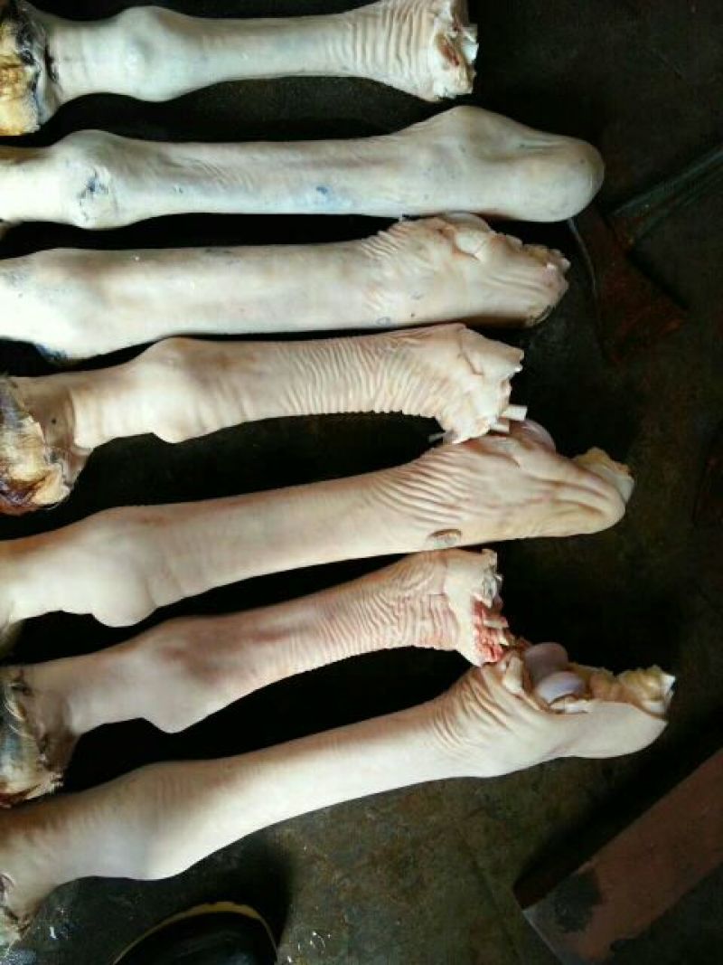 驴肉