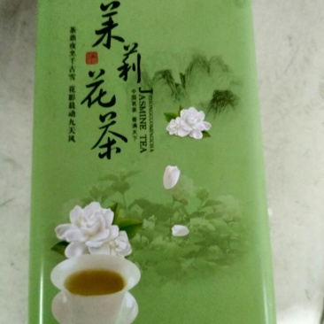 茉莉花茶苗