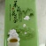 茉莉花茶苗