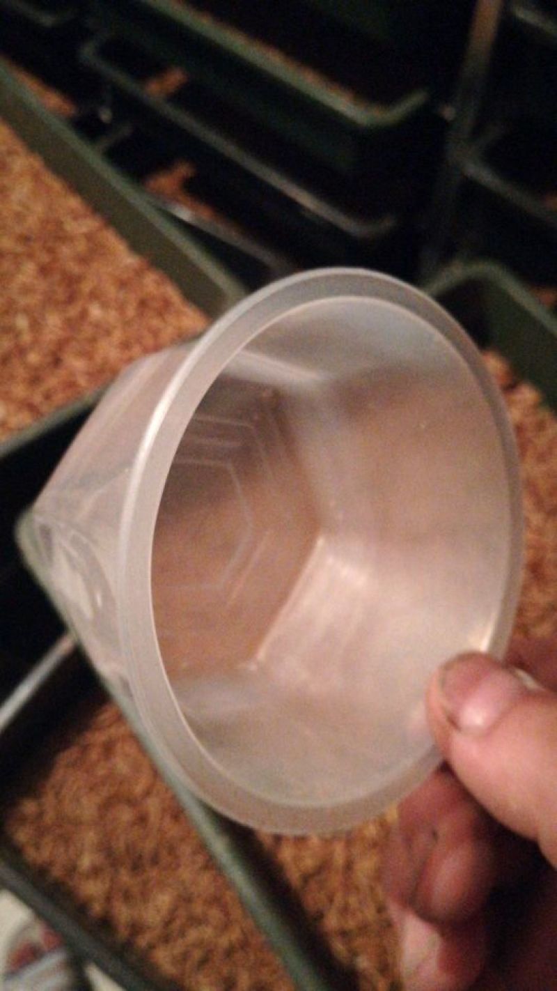 黄粉虫养殖销售