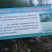 中草药纯野生基地